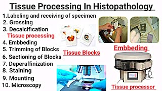 Tissue processing In Hindi  Embbeding  Staining  Deperaffinization  Sectioning of Tissue [upl. by Anirres]