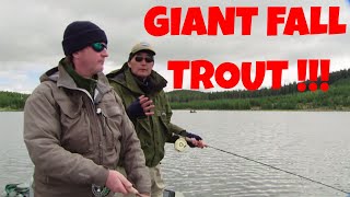 GIANT FALL TROUT  HOW TO WITH BRIAN CHAN [upl. by Aiden292]