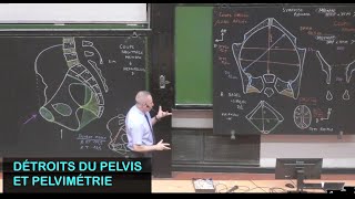 Anatomie des détroits du pelvis et pelvimétrie Pelvis 3 [upl. by Lubbi]