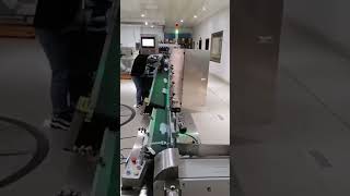 Sachet sorting machine pouch dispenser machine packingmachine packing [upl. by Ricki222]