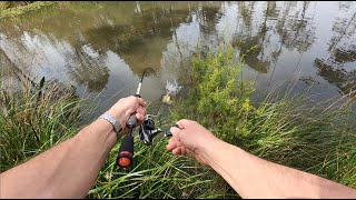 Catching Carp At My Feet [upl. by Rehprotsirhc]