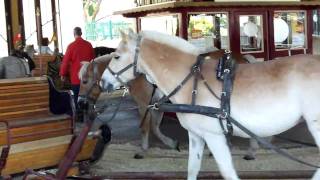 Pony Karrusellen på Prater i Wien [upl. by Lianna71]