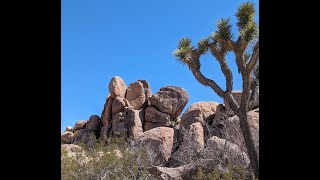 Joshua Tree 2024 movie [upl. by Chace]