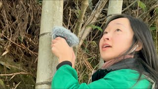 ASMR IN RURAL JAPAN🇯🇵🌿 [upl. by Ecarg]