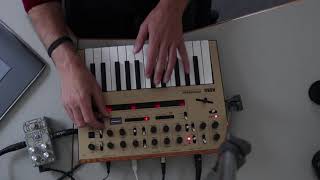 Korg monologue custom patches  Polara [upl. by Nuyh541]