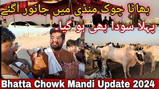 Bhatta Chowk Mandi Update 2024 [upl. by Lafleur173]