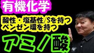 有機化学【酸性アミノ酸・塩基性アミノ酸・Sを持つ・ベンゼン環を持つアミノ酸】の覚え方 アミノ酸 必須アミノ酸 有機化学 [upl. by Airdnna135]