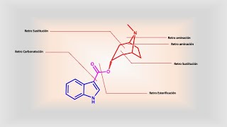 Tropisetron antiemético análisis retrosintético [upl. by Jobina]