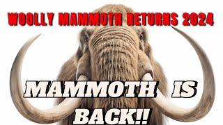 WOOLLY MAMMOTH RETURNS 2024 [upl. by Annasus]