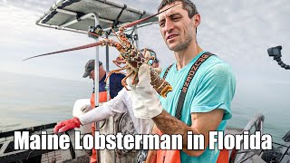 Lobster Fishing in the Florida Keys Catch and Cook [upl. by Ahsyekat]