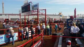 Ponoka Stampede slack June 30 2016 [upl. by Adnala]