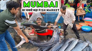 Colaba Fish Market  Sassoon Dock Fish Market  Mumbai Fish Market  Wholesale Fish Market [upl. by Aleekat969]