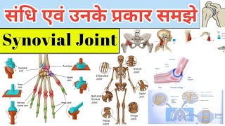 What Are Synovial Joints Types  Anatomy and Physiology  MBBS  BMLT  DMLT [upl. by Irbua880]