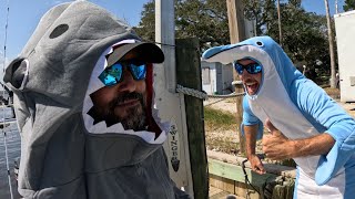 Halloween 2024 SHARK VS DOLPHIN Redfish challenge [upl. by Nalla]