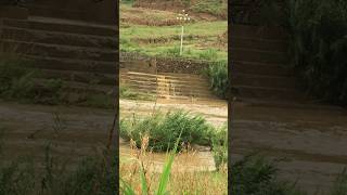 Rose Valley Bridge Water Crossing Bhimber Azad Jammu Kashmir [upl. by Nada]