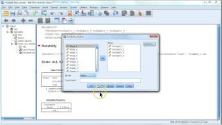 How to improve reliability Cronbachs Alpha [upl. by Malina]