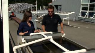 Fish Hatchery Tour in Alaska [upl. by Iormina]