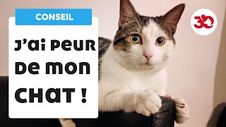 Jai peur de mon chat  les conseils dun vétérinaire [upl. by Erie]