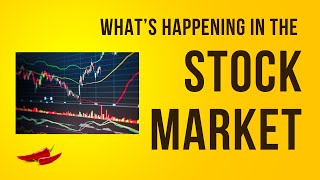 Whats Happening In The Stock Market Jan 24 2024  NFLX ALK Tesla Amazon EXPE XHB Dr Horton [upl. by Kerad]