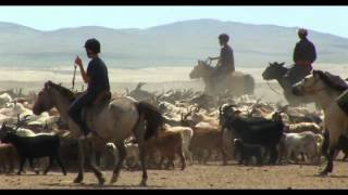 Ecotourisme et vie nomade en Mongolie [upl. by Nirot]