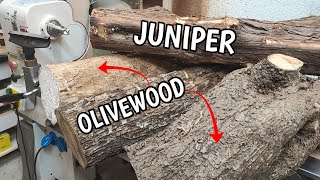 Got a few olivewood and juniper logs lots of interesting boxes [upl. by Silvester]