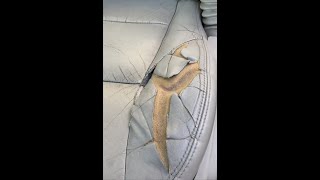 DIY  leather car seat repair pt 1 [upl. by Uyekawa699]