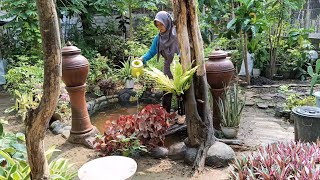 Pupuk Andalan Erna Garden Part 2 [upl. by Tterab]