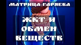 Метаболизм 2 часть☀️Матрица Гаряева для ЖКТ☀️Квантовое исцеление звуком [upl. by Winola]