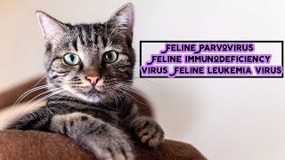 infectious diseases  Feline Panleukopenia  Feline immunodeficiency virus  Feline leukemia virus [upl. by Oicnaneb]