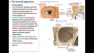 The Lacrimal System  Dr Ahmed Farid [upl. by Chally]