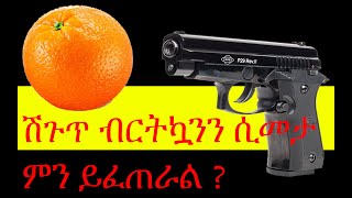 EKOL P29 Vs ORANGE ሽጉጥ vs ብርትካንን ይጎዳል … አብረን እንየዉ [upl. by Islean808]