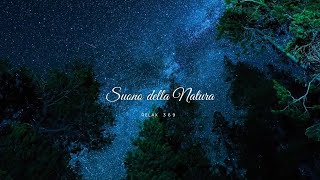 Suoni del bosco della foresta della natura  ruscelli  per Dormire  RELAX 🌸🌳🌲ASMR [upl. by Retsbew]