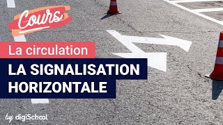 La signalisation horizontale  Code de la route [upl. by Zurn]