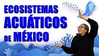 💧 Ecosistemas ACUÁTICOS de México  Tipos Definición y Características [upl. by Ferretti]