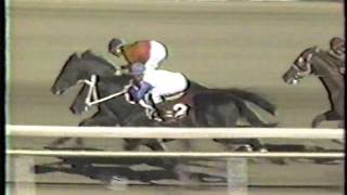 1989 Super Derby  Sunday Silence [upl. by Afatsom]