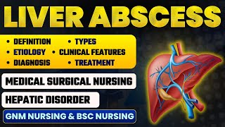 Liver Abscess  Hepatic Abscess  Etiology Types Symptoms and Treatment Hepatic Disorder [upl. by Adorne823]