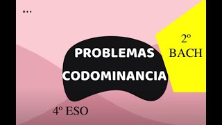 PROBLEMA CODOMINANCIA 4ºESO 2º BACH [upl. by Laersi]