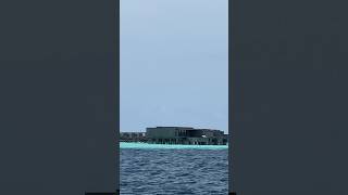 Patina Maldives over water villa shortvideo travel [upl. by Larrisa]