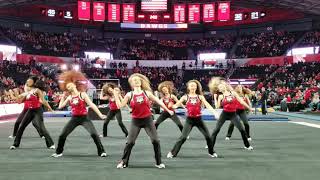 UGA Dance Dawgs Wind it Up [upl. by Pattie]