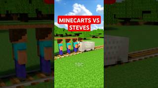 Big and Small Minecarts vs Steves [upl. by Mazonson]