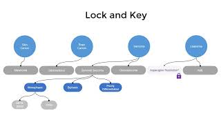 How Diet Can Affect Cancer [upl. by Combes]