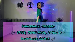 Spice Sean Paul Stylo G  Dumpling Dancehall Choreo [upl. by Mohamed708]