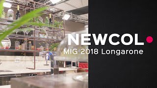 Newcol MIG2018 Longarone [upl. by Ekul477]