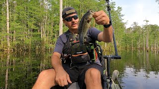 kayak bass fishing [upl. by Kung]