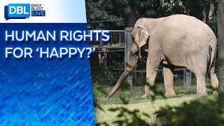 Case Brought by Nonhuman Rights Project to Determine if Happy the Elephant is Imprisoned ‘Person’ [upl. by Bridgid322]