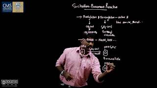 Schotten Baumann Reaction I Dr Ajish K R I Department of Chemistry [upl. by Esirtal825]