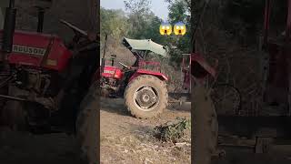 My Driving Massey 241 power 🔥💪🏻 rj09sandeep [upl. by Woody455]