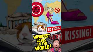 “5 WEIRDEST LAWS You Won’t Believe EXIST 😂 Funny MindBlowing Facts” [upl. by Marguerie]