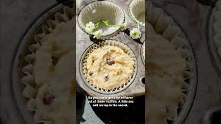 Bakery Style Chocolate Chip Muffins shorts halfbakedharvest chocolatechipmuffins [upl. by Davidde]