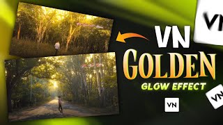 Trending Golden Glow Effect Reels Video Editing In Vn App  Aesthetic Video Glow Effect In Vn App [upl. by Cutcliffe]